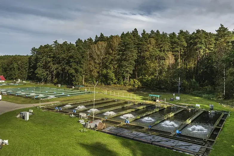 Ratunek dla ekosystemów